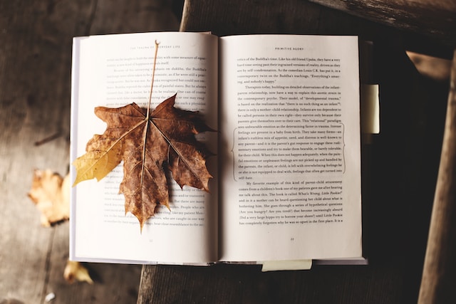 reading a book in autumn - self-care