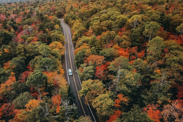 autumn roadtrip - self-care idea