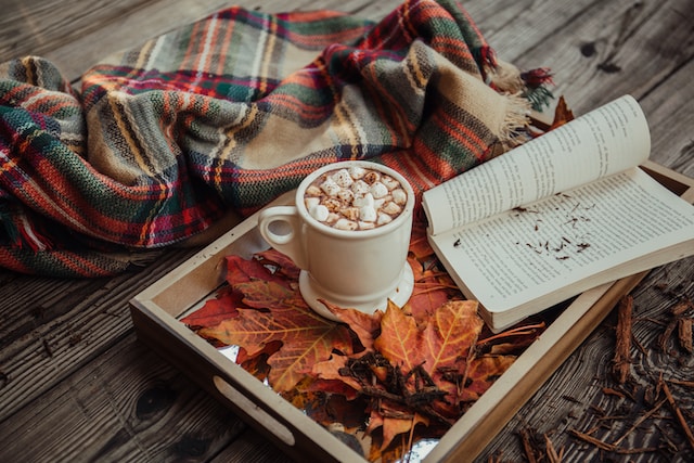 autumn self-care ideas: book and hot chocolate